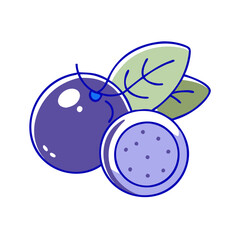 jabuticaba vector icon, fruit vector illustration - simple illustration of jabuticaba perfect for logos, and fruit-themed designs.