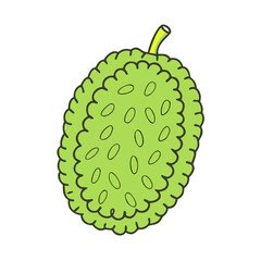 jack vector icon, fruit vector illustration - simple illustration of jack perfect for logos, and fruit-themed designs.