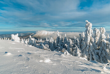 Winter on Lysa hora hill in Moravskoslezske Beskydy mountains in Czech republic