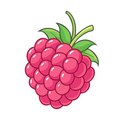 raspberry vector icon, fruit vector illustration - simple illustration of raspberry perfect for logos, and fruit-themed designs.