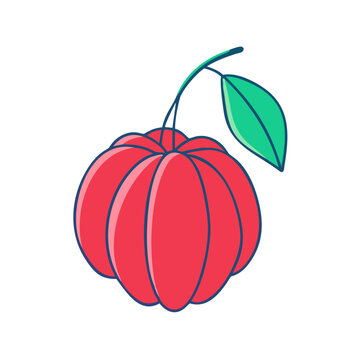 recommend clip art: surinam cherry vector icon, fruit vector illustration - simple illustration of surinam cherry perfect for logos, and fruit-themed designs.