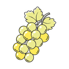 whitecurrant vector icon, fruit vector illustration - simple illustration of whitecurrant perfect for logos, and fruit-themed designs.