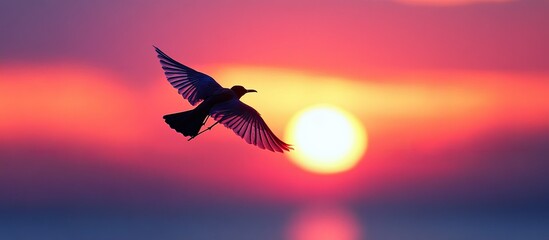 Fototapeta premium Majestic Silhouette: Bird in Flight at Sunset