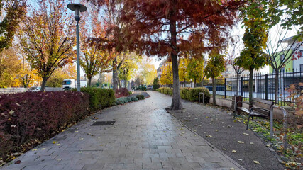 Tree-lined pathway covered in autumn foliage, representing tranquility and reflection during the fall season, ideal for Thanksgiving themes