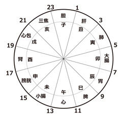 Fototapeta premium 子午流注図（白黒）