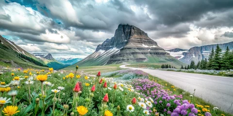 Gardinen Explore Logan Pass's stunning mountain scenery, vibrant wildflowers, and thrilling hiking amidst Montana's iconic landscapes. © Autun