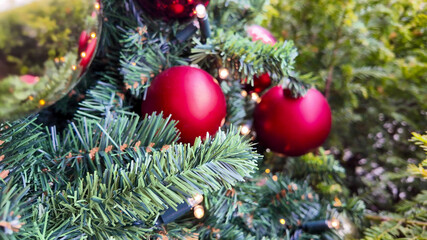 Festive Christmas tree with red baubles and lights, perfect for celebrating holiday joy and...