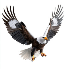 Obraz premium A Bald Eagle in Flight: Majesty and Power in Nature's Embrace
