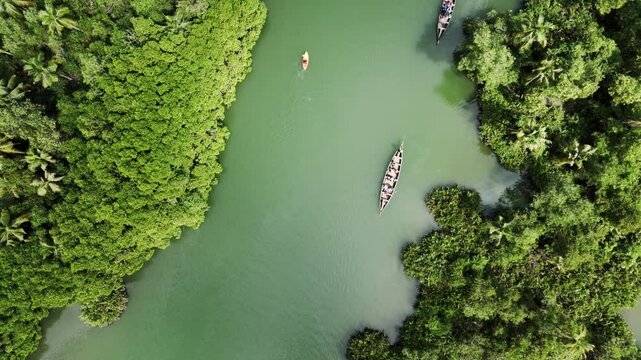 Aerial drone shot of backwaters lake with green forest, Kerala nature landscape scenery, boats moving on the calm water and mangroves