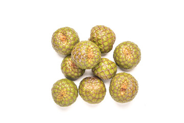 Metroxylon Sagu (Rumbia) Fruit on White Background