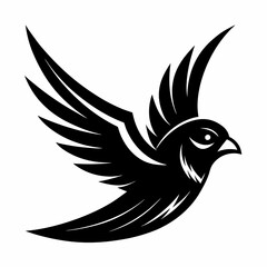 dove of peace