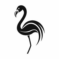 illustration of a flamingo