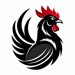 rooster isolated on white
