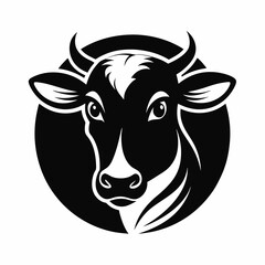 black and white cow