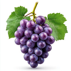 Fototapeta premium Luscious purple grapes, plump and juicy, adorned with vibrant green leaves. A delicious treat!
