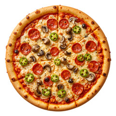 Restaurant-Style Pizza with Chicken and Melted Cheese on transparent  Background 
