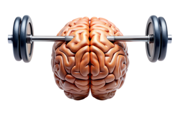 3D render of a human brain with a dumbbell symbolizing strength and fitness
