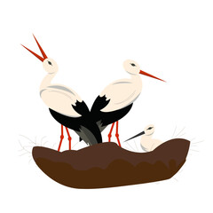 Deux cigognes blanches adultes et un bébé  au nid	