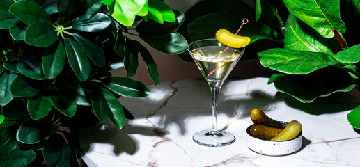 Cajun Martini alcoholic cocktail drink with vodka, jalapeno pepper, dry vermouth and pickle. Marble...