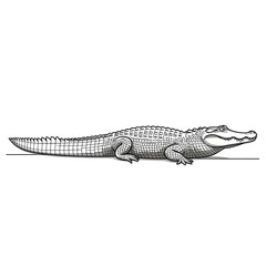 Naklejka premium Detailed black and white illustration of a large alligator resting on a line, showing scales.