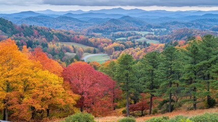 Obraz premium Autumnal Mountain Majesty: A Panoramic View of Fall Foliage