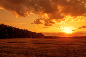 Sunset in the countryside. Dramatic golden evening sky during sunset. Rural landscape in spring