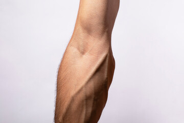 Detailed texture of human skin, close up shot of young male arm with blood vessels and veins....