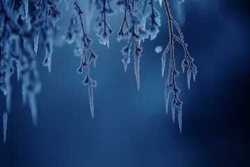 Icy Branches of a Tree Against Dark Sky