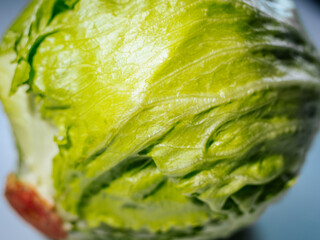 A close-up of a whole head of iceberg lettuce with bright green leaves and a crisp texture, emphasizing its natural freshness.