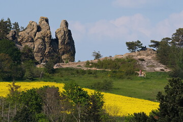 Teufelsmauer ( Harz ) mit Hamburger Wappen bei Timmenrode	