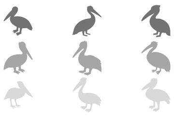 Simple Pelican Bird Illustration Design Set