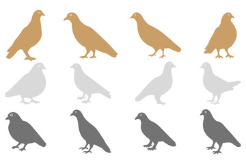 Simple Pigeon Bird Illustration Design Set