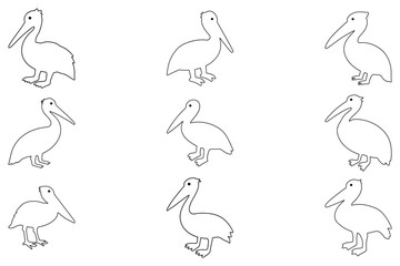 Outline Pelican Bird Illustration Design Set