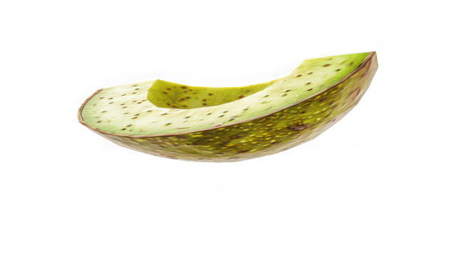 Floating avocado slice captured in mid motion isolated on transparent background
