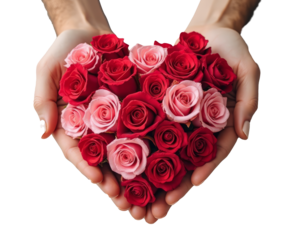 Heart-shaped arrangement of red and pink roses held by hands, isolated on a transparent background. Concept of love and romance. Flower delivery concept