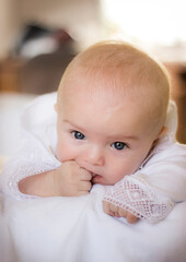portrait of a baby