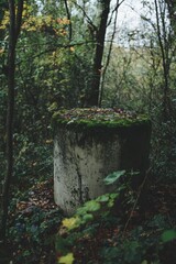 Fototapeta premium A weathered concrete pillar covered in moss surrounded by lush green foliage in a serene forest setting, showcasing the beauty of nature reclaiming old structures