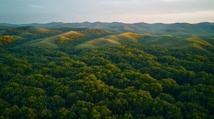 Fototapeta premium Aerial View of Serene Forest Landscape in Transition with Sunlight Filtering Through Trees at Dusk