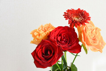 薔薇とガーベラ