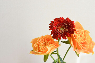 薔薇とガーベラ