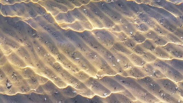 Clear river water with small waves, through which you can see sandy bottom with shells.