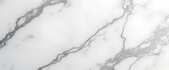 Elegant white marble texture with gray veining.  Perfect for backgrounds or design projects.