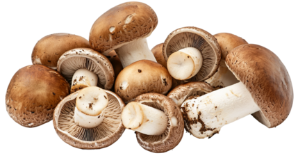Fresh champignon mushroom isolated on a transparent background, showcasing its clean, raw appearance perfect for food photography, healthy cooking, and vegan recipes with an organic touch.