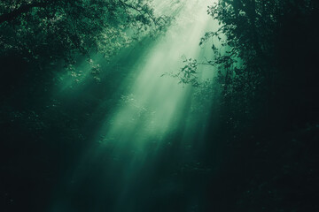 Fototapeta premium Ethereal beams of light filtering through dense forest foliage, creating a serene atmosphere.