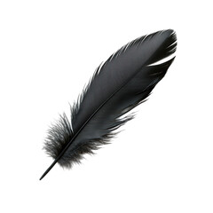 Glossy black feather on pristine white canvas, elegant simplicity, striking contrast, ideal for design and artistic use