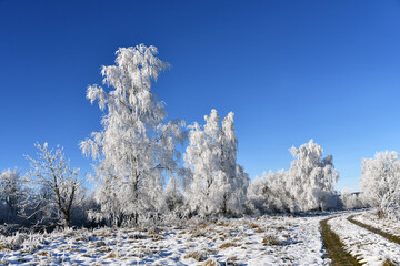 schöne Winterlandschaft