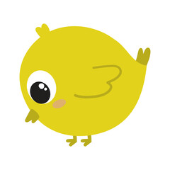 Cute little chick vector illustration