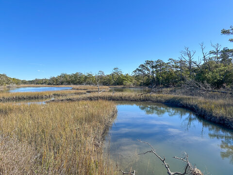 Tranquil coastal landscape with wetland marsh, clear sky, and blue ocean 