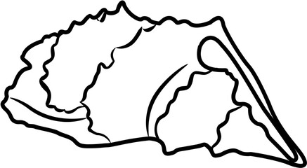 marine material coloring page