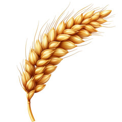 Golden Wheat Ear on White Background, showcasing the beauty of nature's harvest in a minimalist and elegant presentation